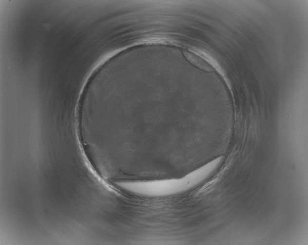 X0000070191045200606091527