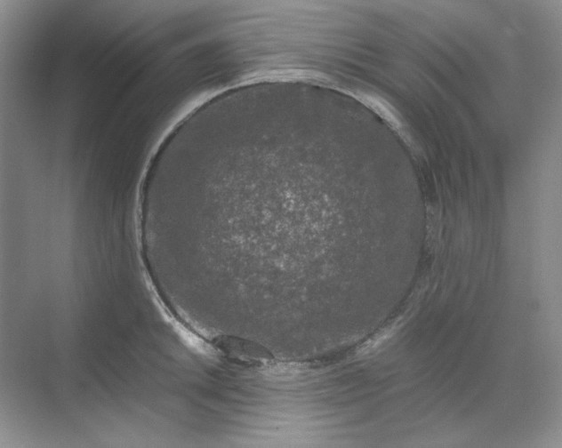 X0000070191046200606091527