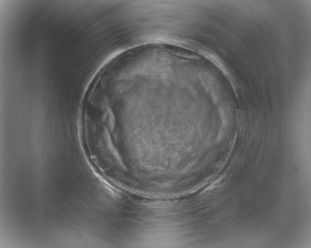 X0000070191048200606091527