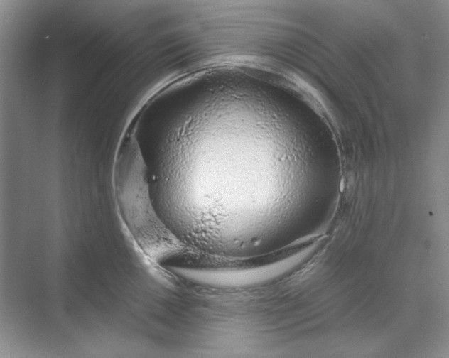 X0000070191050200606091527