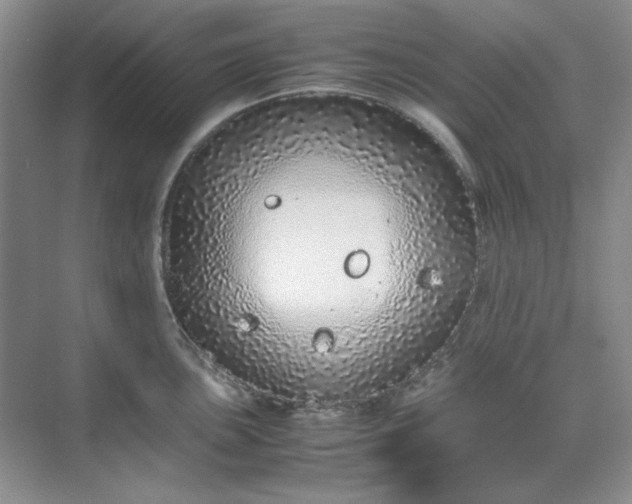 X0000070191051200606091527