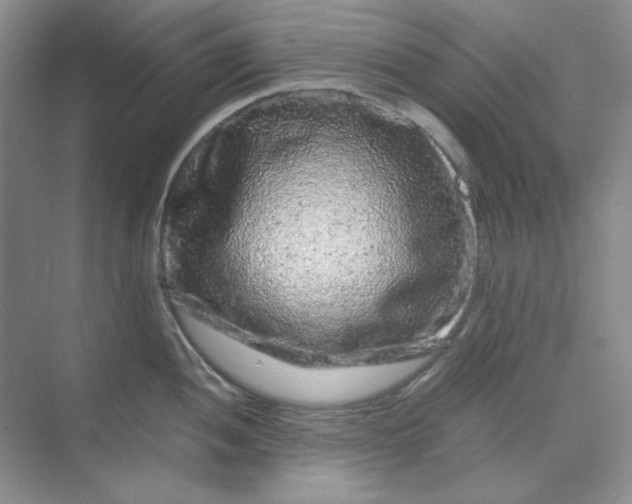 X0000070191052200606091527