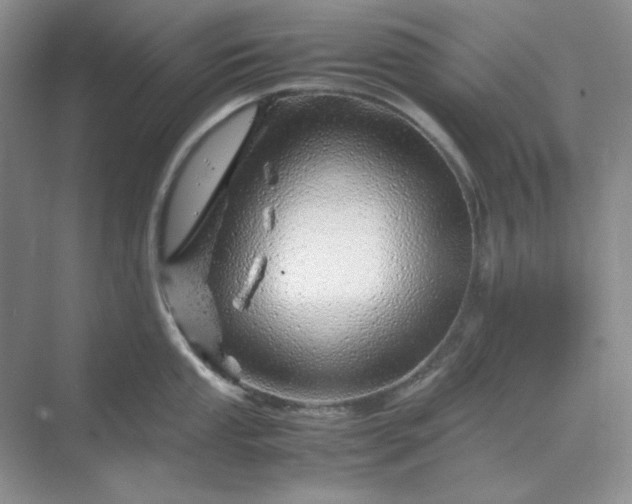 X0000070191053200606091527