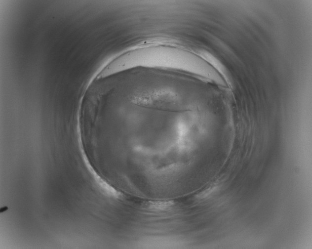 X0000070191055200606091527