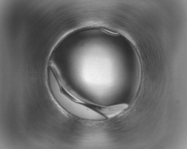 X0000070191056200606091527