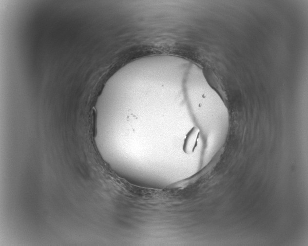 X0000070191057200606091527