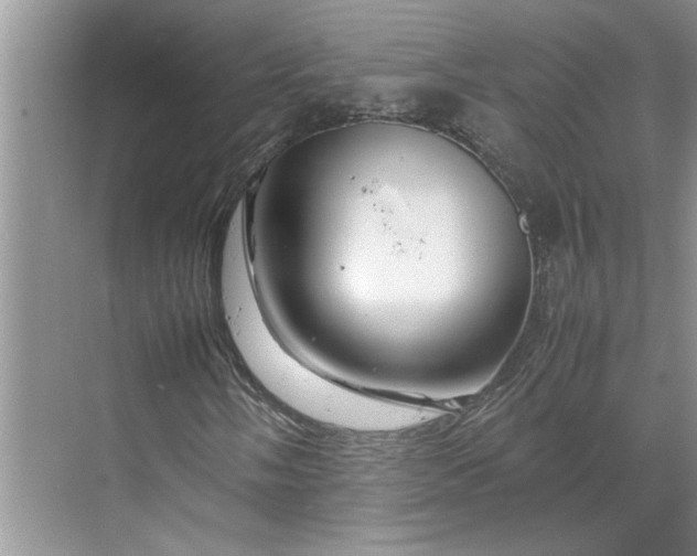 X0000070191058200606091527