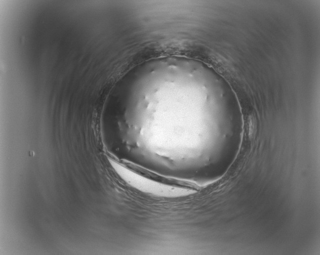 X0000070191059200606091527