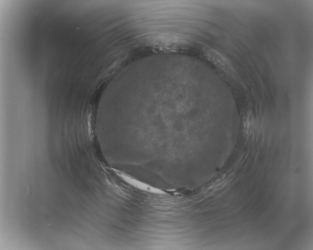 X0000070191060200606091527