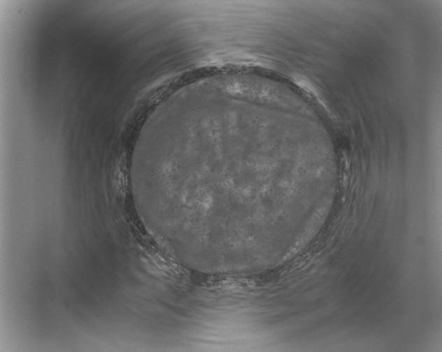 X0000070191063200606091527