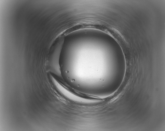 X0000070191065200606091527