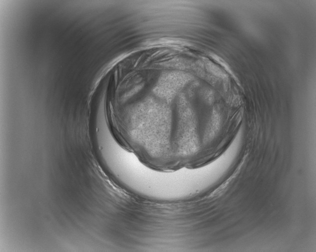 X0000070191066200606091527