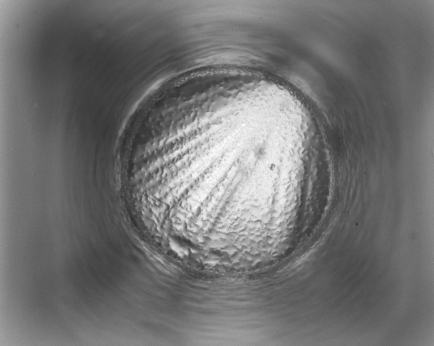 X0000070191067200606091526