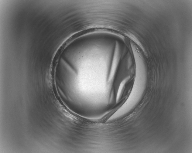 X0000070191068200606091526