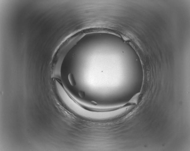 X0000070191069200606091526