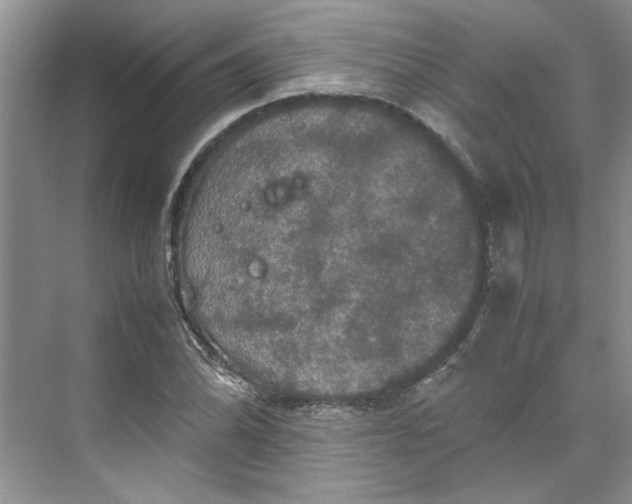 X0000070191070200606091526