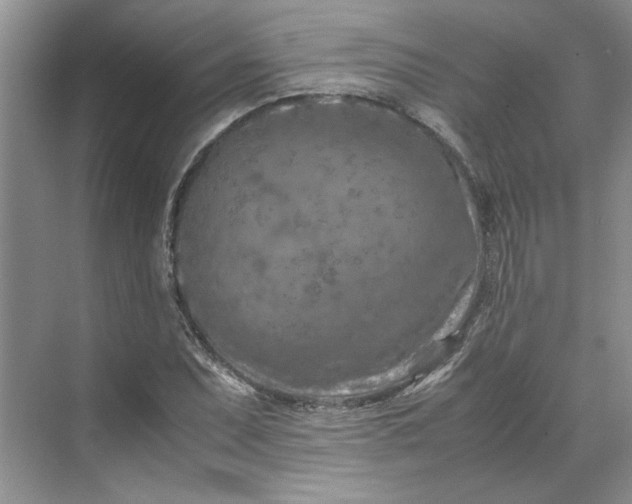 X0000070191071200606091526