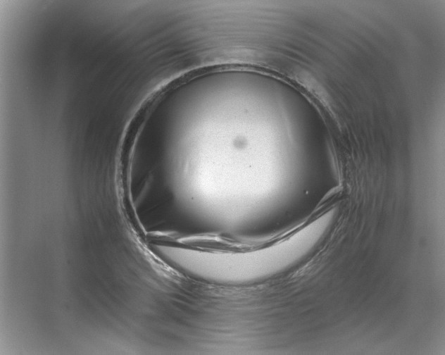 X0000070191072200606091526