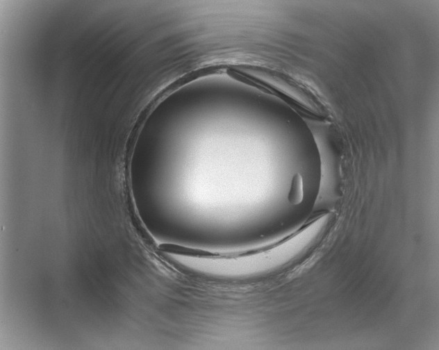 X0000070191073200606091526