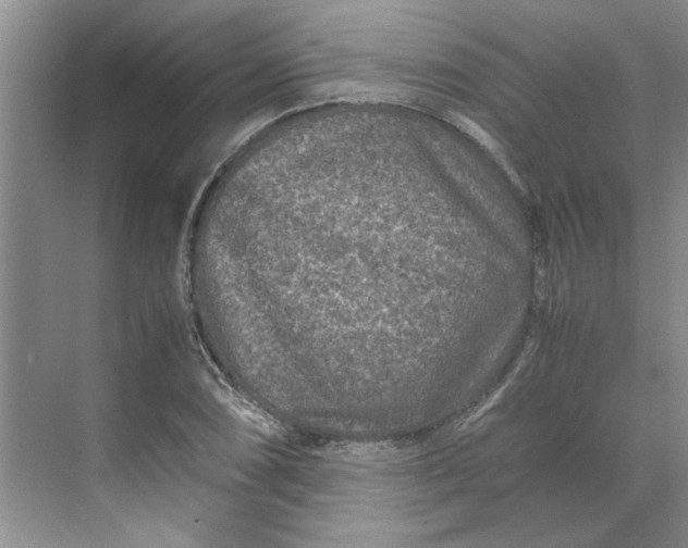 X0000070191074200606091526