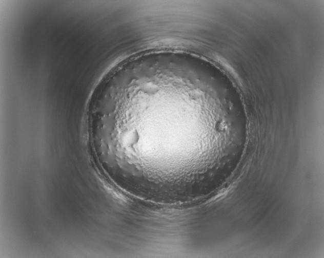 X0000070191075200606091526