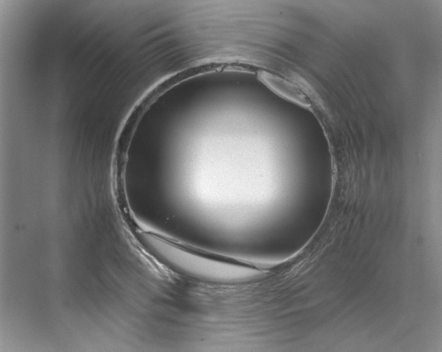 X0000070191076200606091526