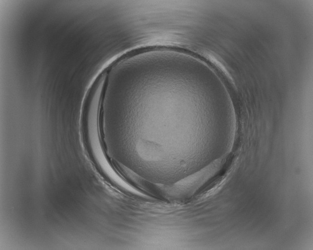 X0000070191077200606091526