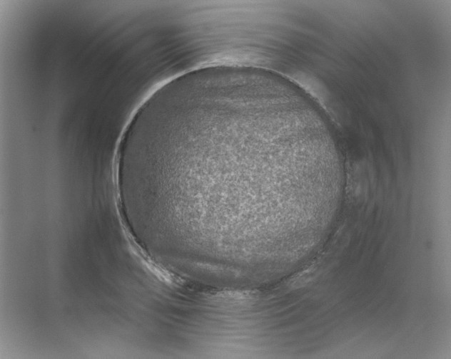 X0000070191078200606091526