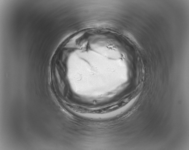 X0000070191079200606091526