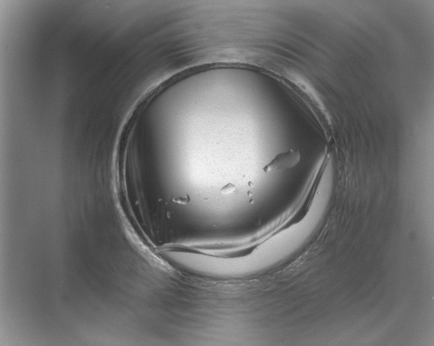 X0000070191080200606091526