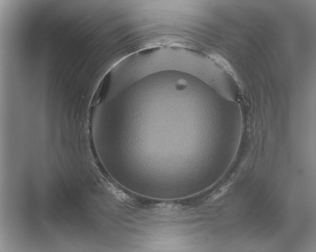 X0000070191081200606091526