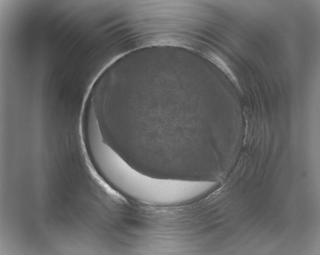 X0000070191084200606091526