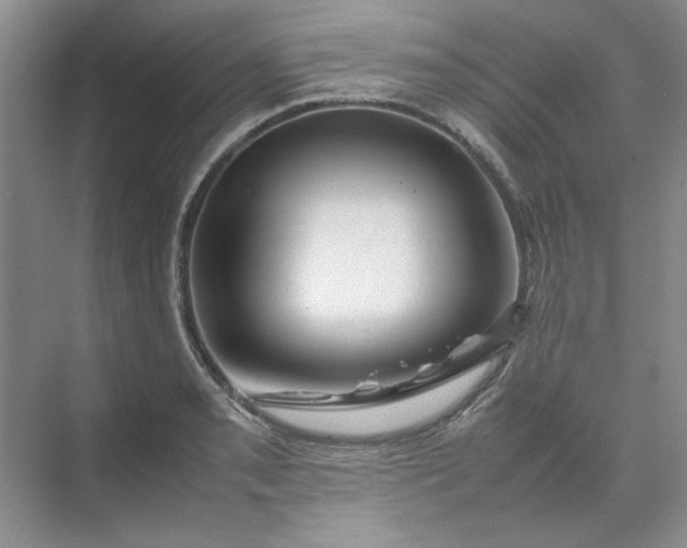 X0000070191085200606091526