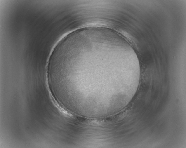 X0000070191086200606091526