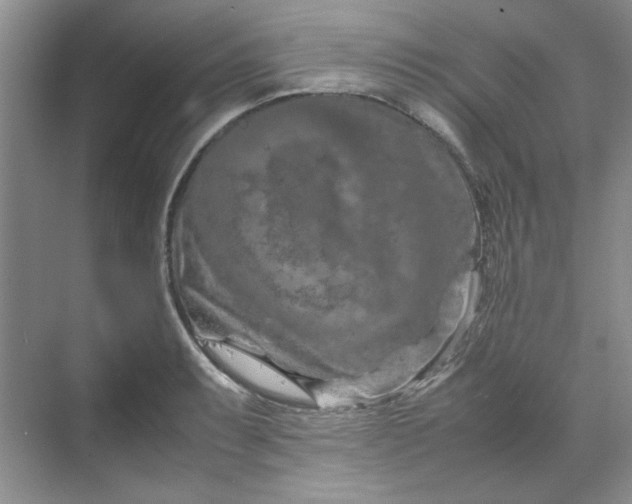 X0000070191087200606091526