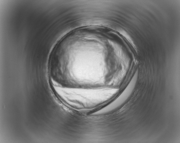 X0000070191088200606091526