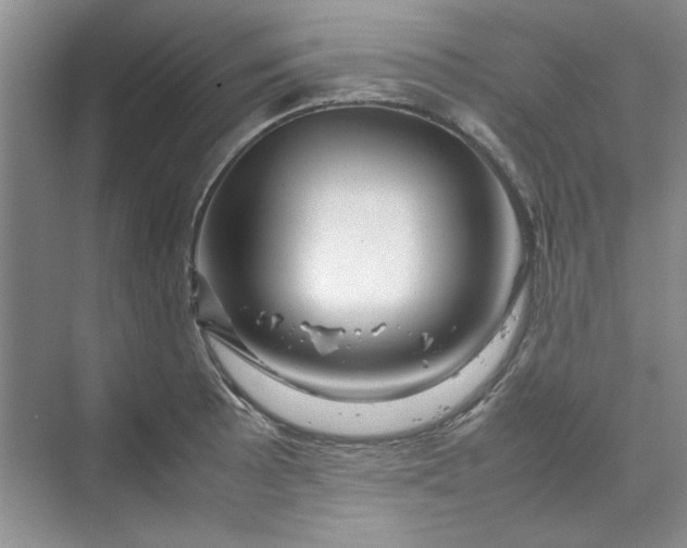 X0000070191089200606091526