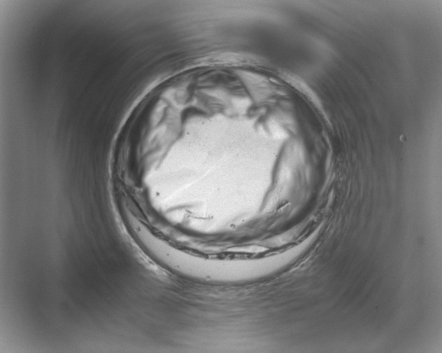 X0000070191091200606091526