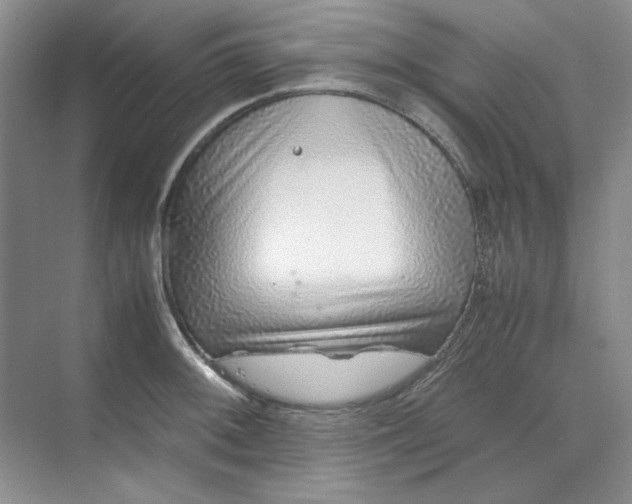 X0000070191092200606091526