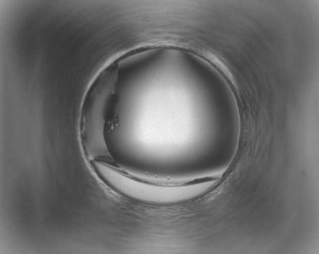 X0000070191093200606091526