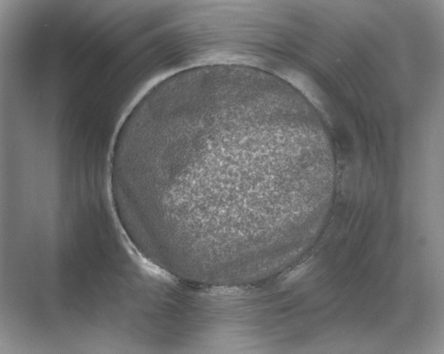 X0000070191094200606091526