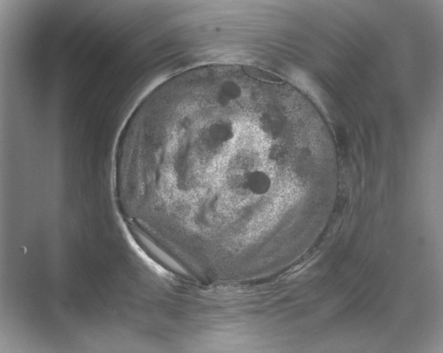 X0000070191095200606091526