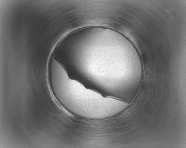 X0000070191096200606091526