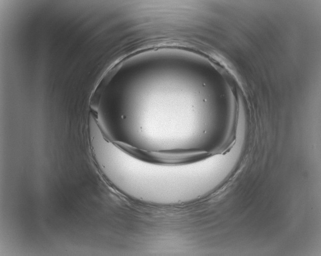 X0000070191097200606091526