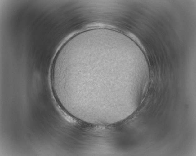 X0000070191098200606091526