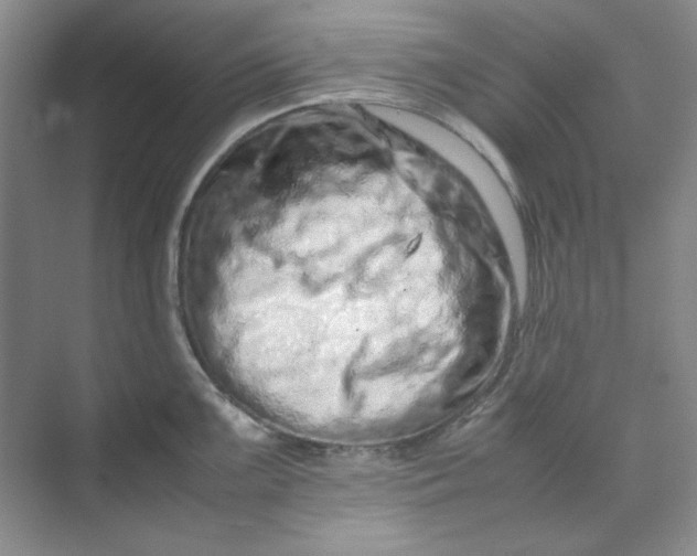 X0000070191099200606091526