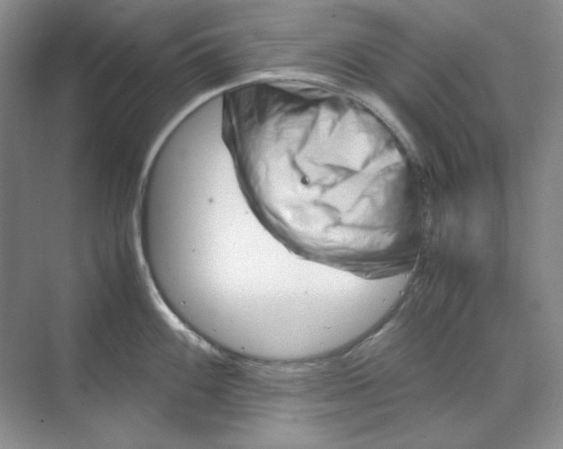 X0000070191100200606091526