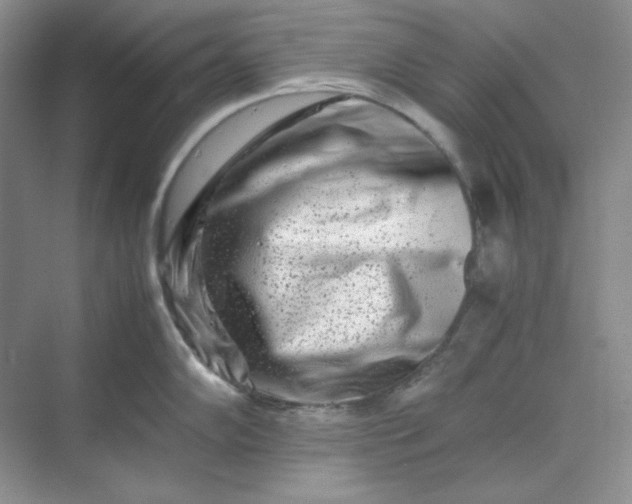 X0000070191102200606091526