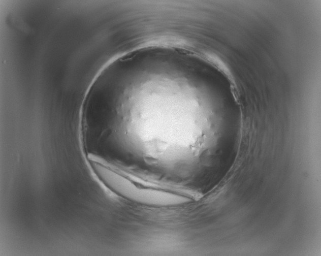 X0000070191103200606091526