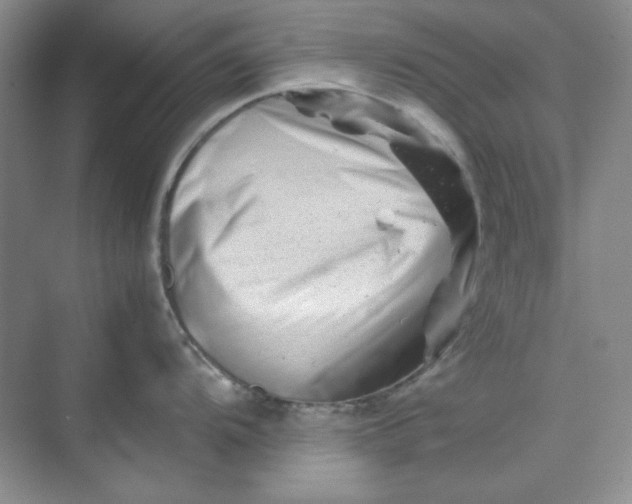 X0000070191104200606091526